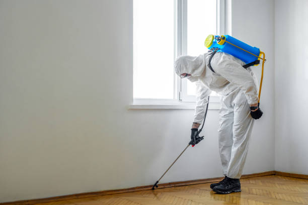 Best Pest Prevention Services  in Laurel Springs, NJ